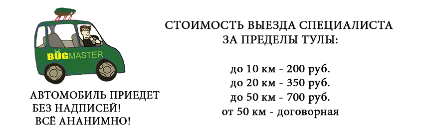 viezd.gif
