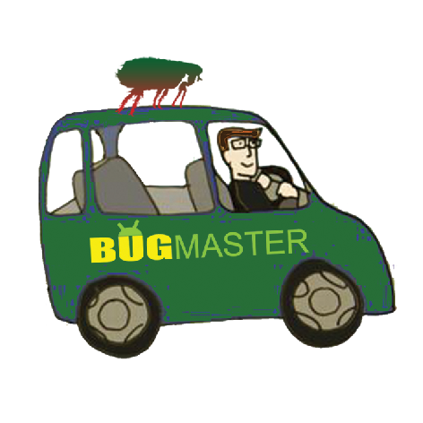 bag_mashinka.png