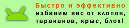 дезинсекция, дезинфекция в Туле